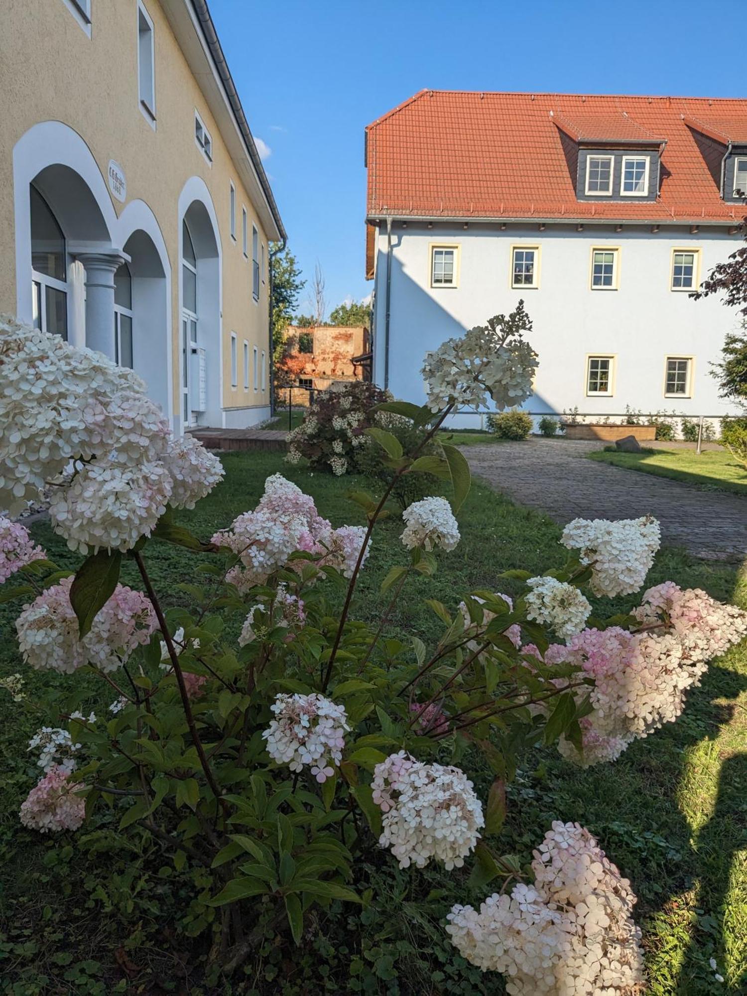 Hof Gruebler Apartment Klipphausen Bagian luar foto